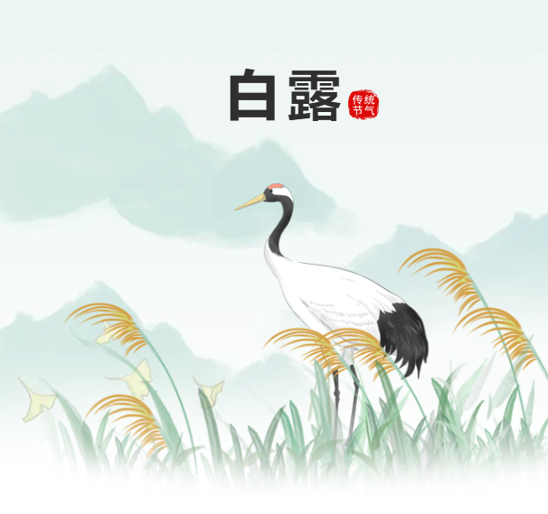 露从今夜白 渐知秋实美—— 二十四节气之白露